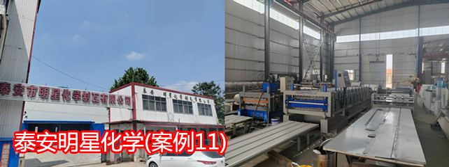 泰安明星化学1_副本.jpg